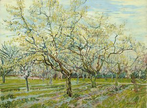 De witte boomgaard
